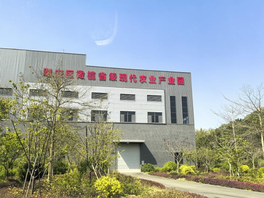 潮安区橄榄省级现代农业产业园