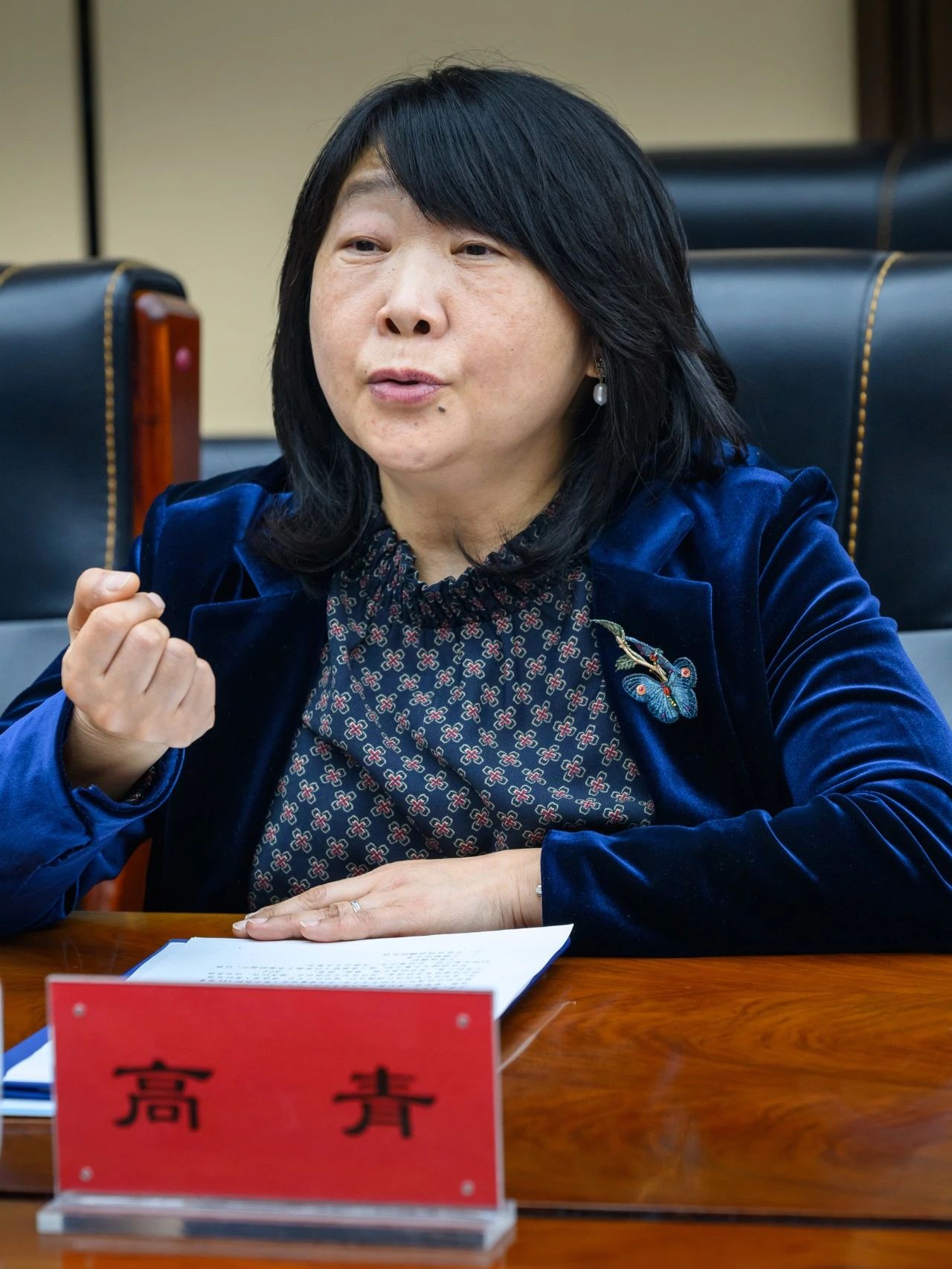北京高占祥文化工作室主任高青发言